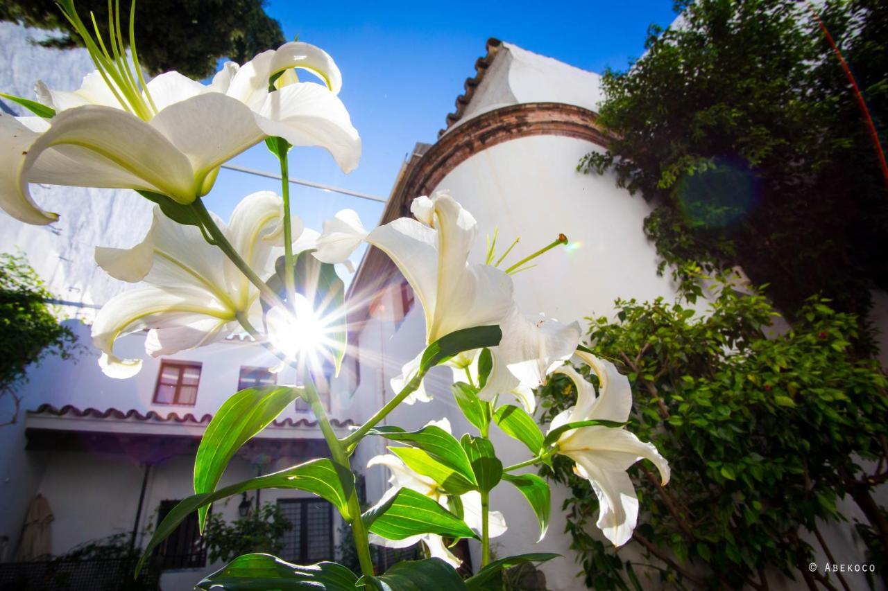 Casa Del Siglo XVII Villa Sevilla Eksteriør bilde